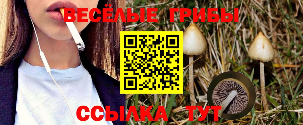 Уварово  Псилоцибиновые грибы GOLDEN TEACHER  Галлюциногенные грибы Psilocybine cubensis  Вход с VPN 